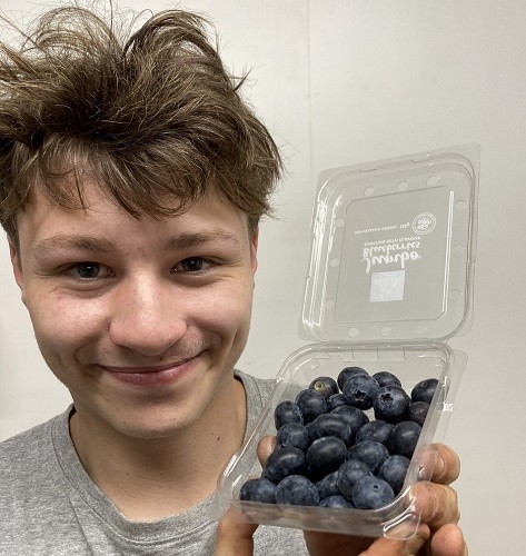 BLUEBERRIES - 125 Gram Punnet - JUMBO SIZE